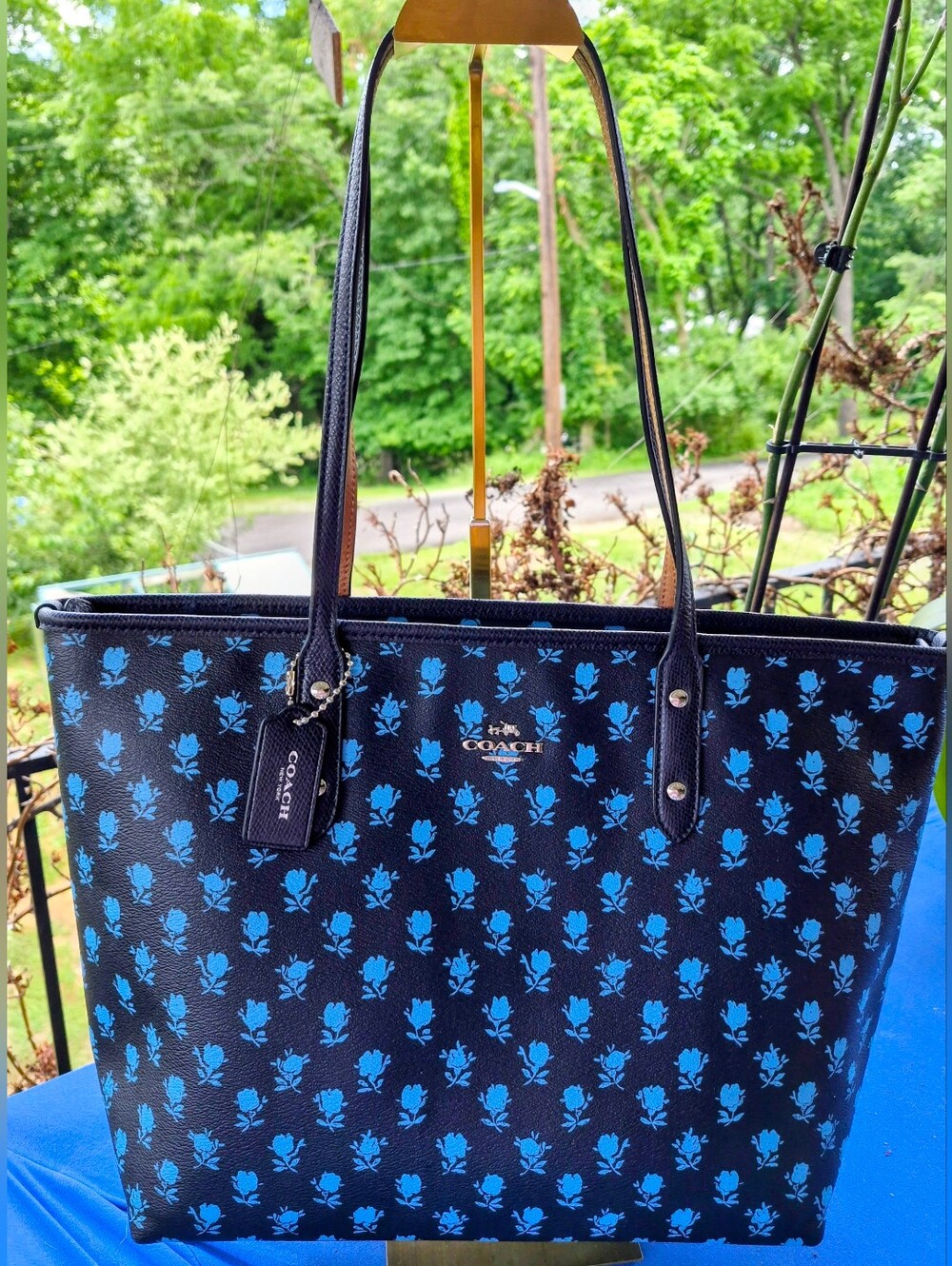 COACH 🦋 Zip Top TAXI TOTE 🐦 BADLANDS print Coated Canvas & Crossgrain Leather